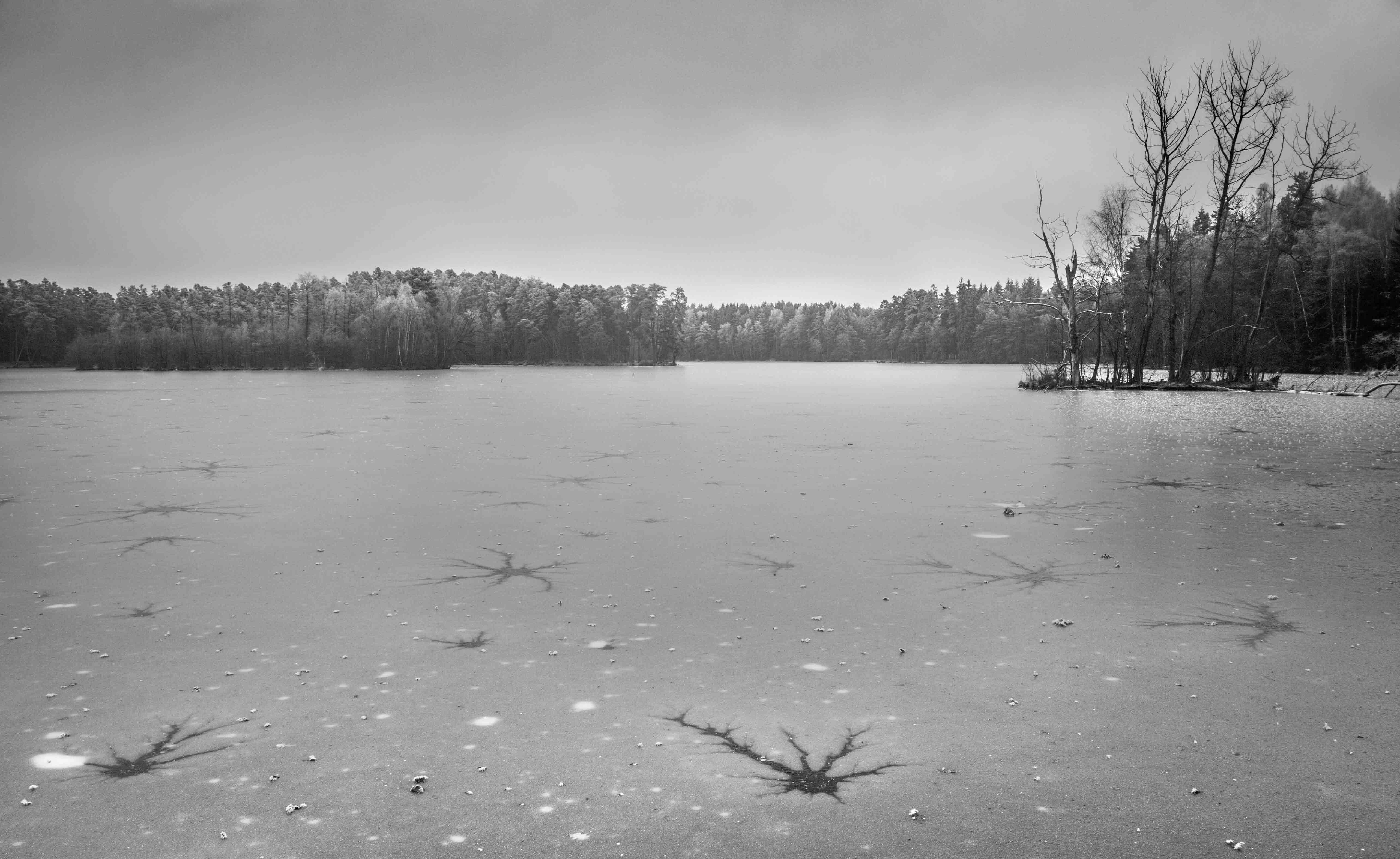 Příroda za domem - snímek 8